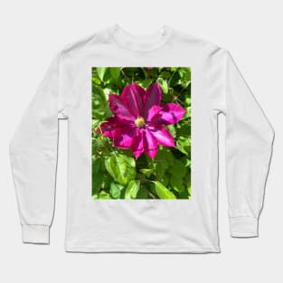 Purple iris in full bloom Long Sleeve T-Shirt